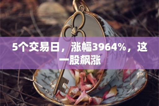 5个交易日，涨幅3964%，这一股飙涨