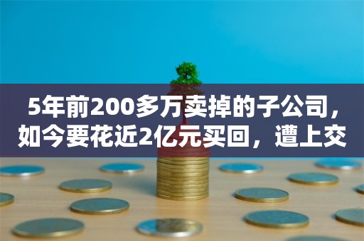 5年前200多万卖掉的子公司，如今要花近2亿元买回，遭上交所“灵魂拷问”