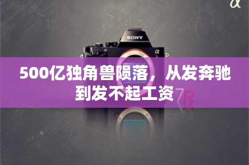 500亿独角兽陨落，从发奔驰到发不起工资