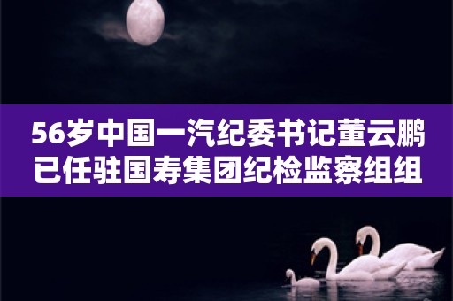 56岁中国一汽纪委书记董云鹏已任驻国寿集团纪检监察组组长