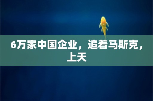 6万家中国企业，追着马斯克，上天