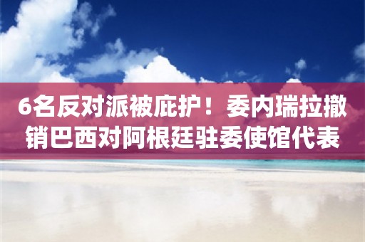 6名反对派被庇护！委内瑞拉撤销巴西对阿根廷驻委使馆代表权，巴西政府：震惊！_ZAKER新闻