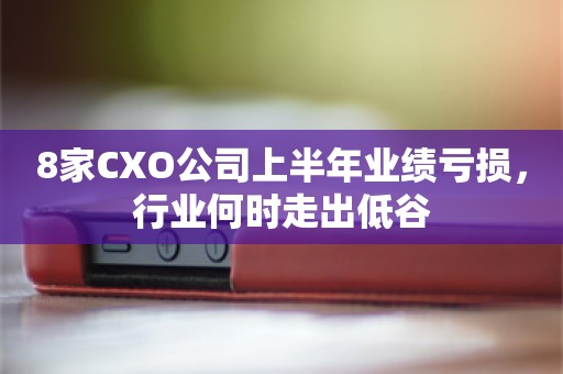 8家CXO公司上半年业绩亏损，行业何时走出低谷