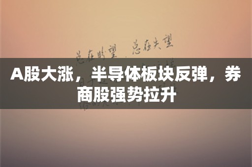 A股大涨，半导体板块反弹，券商股强势拉升