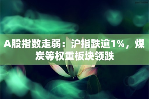 A股指数走弱：沪指跌逾1%，煤炭等权重板块领跌