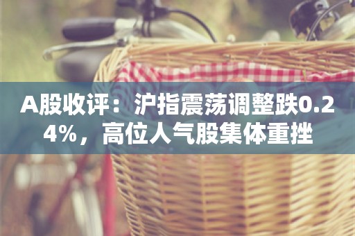 A股收评：沪指震荡调整跌0.24%，高位人气股集体重挫