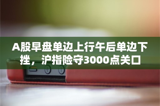 A股早盘单边上行午后单边下挫，沪指险守3000点关口