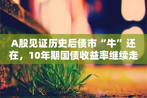 A股见证历史后债市“牛”还在，10年期国债收益率继续走低，节后资金面宽松预期缓和情绪