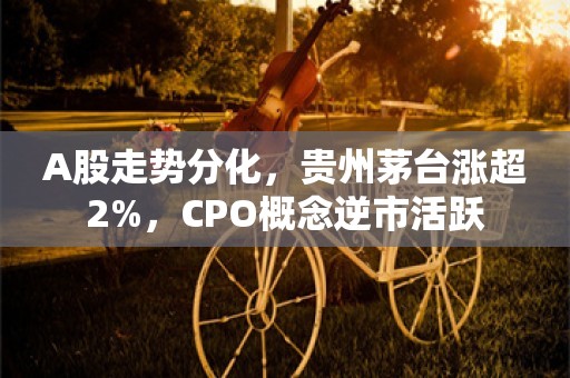 A股走势分化，贵州茅台涨超2%，CPO概念逆市活跃