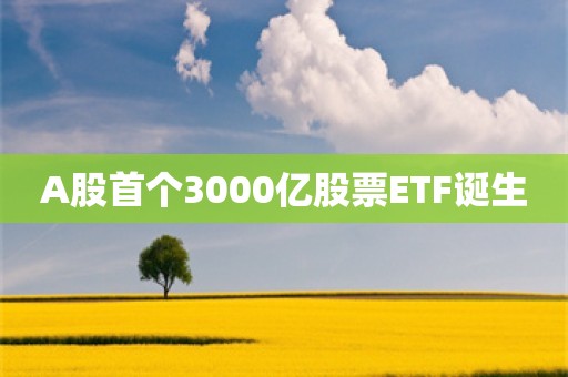 A股首个3000亿股票ETF诞生