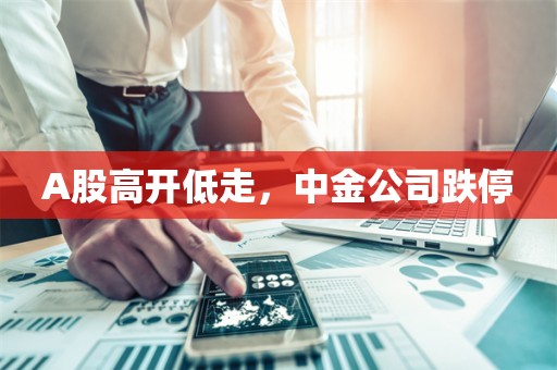 A股高开低走，中金公司跌停