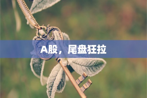 A股，尾盘狂拉