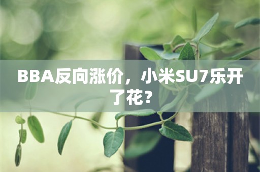 BBA反向涨价，小米SU7乐开了花？