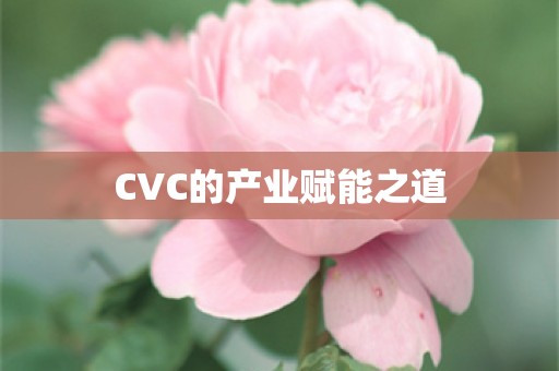 CVC的产业赋能之道