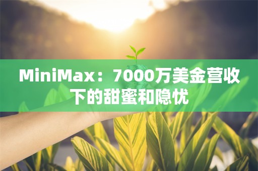 MiniMax：7000万美金营收下的甜蜜和隐忧