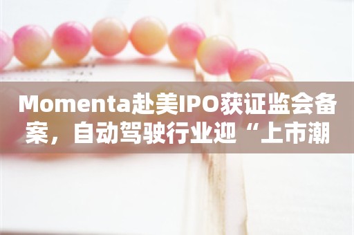 Momenta赴美IPO获证监会备案，自动驾驶行业迎“上市潮”