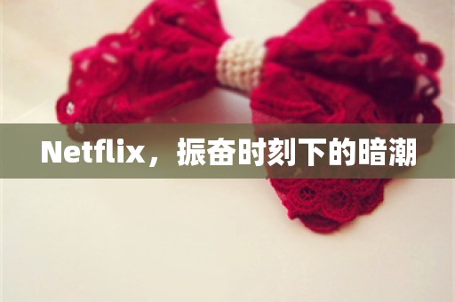 Netflix，振奋时刻下的暗潮