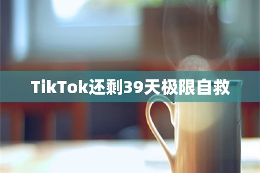 TikTok还剩39天极限自救