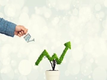 全链条严惩上市公司财务造假