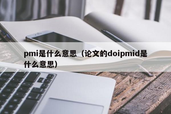 pmi是什么意思（论文的doipmid是什么意思）