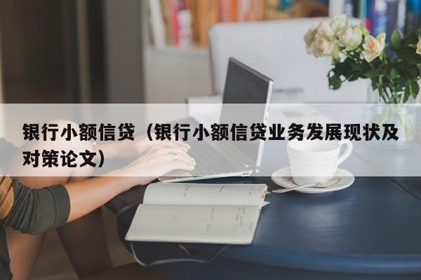 银行小额信贷（银行小额信贷业务发展现状及对策论文）