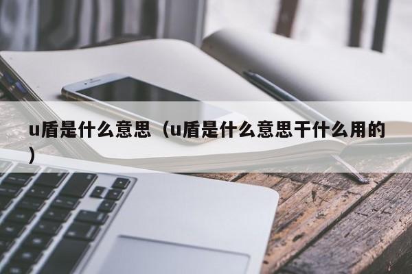 u盾是什么意思（u盾是什么意思干什么用的）