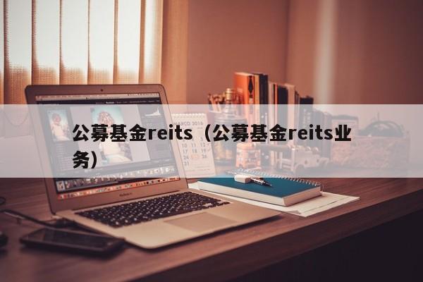 公募基金reits（公募基金reits业务）