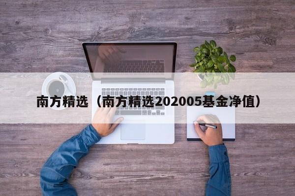 南方精选（南方精选202005基金净值）