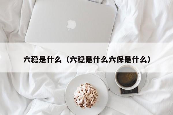 六稳是什么（六稳是什么六保是什么）