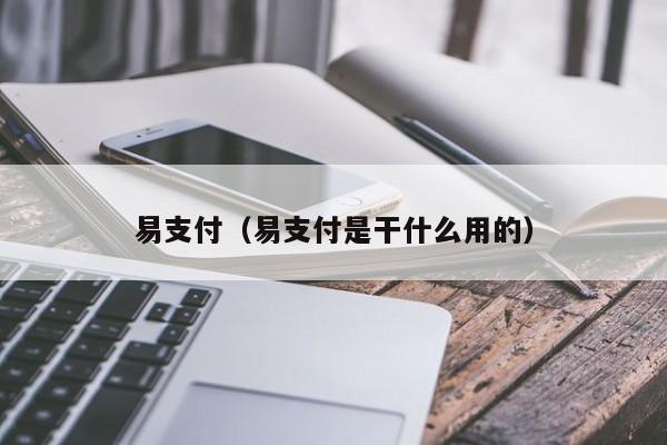 易支付（易支付是干什么用的）