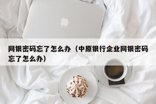 网银密码忘了怎么办（中原银行企业网银密码忘了怎么办）