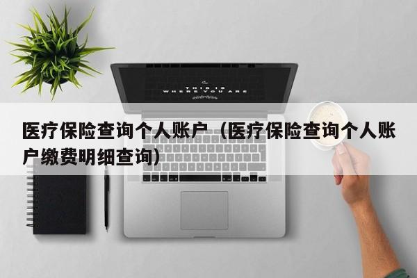 医疗保险查询个人账户（医疗保险查询个人账户缴费明细查询）