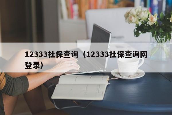 12333社保查询（12333社保查询网登录）