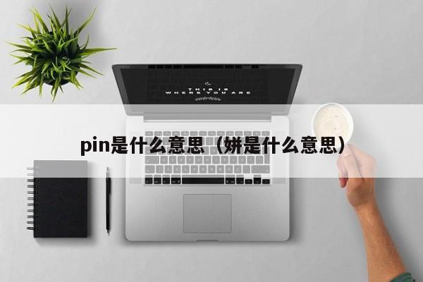 pin是什么意思（姘是什么意思）