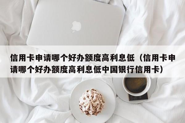 信用卡申请哪个好办额度高利息低（信用卡申请哪个好办额度高利息低中国银行信用卡）