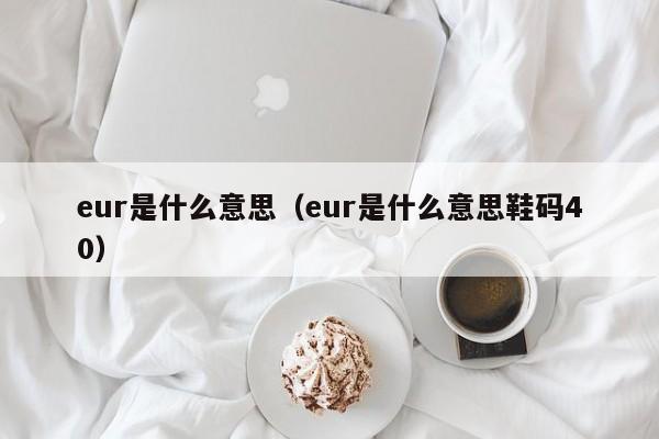 eur是什么意思（eur是什么意思鞋码40）