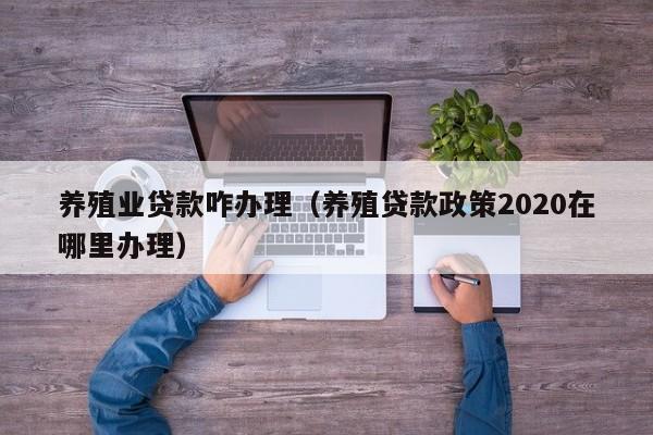 养殖业贷款咋办理（养殖贷款政策2020在哪里办理）