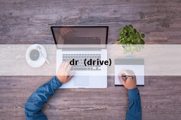 dr（drive）