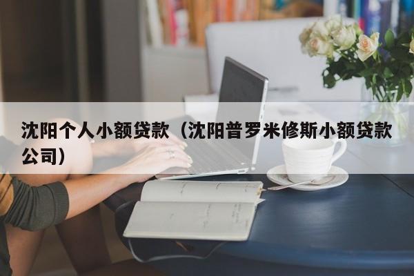 沈阳个人小额贷款（沈阳普罗米修斯小额贷款公司）