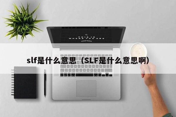 slf是什么意思（SLF是什么意思啊）