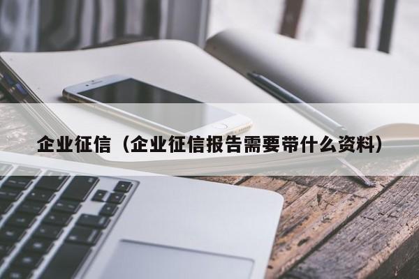 企业征信（企业征信报告需要带什么资料）