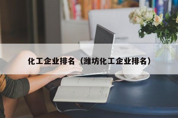 化工企业排名（潍坊化工企业排名）