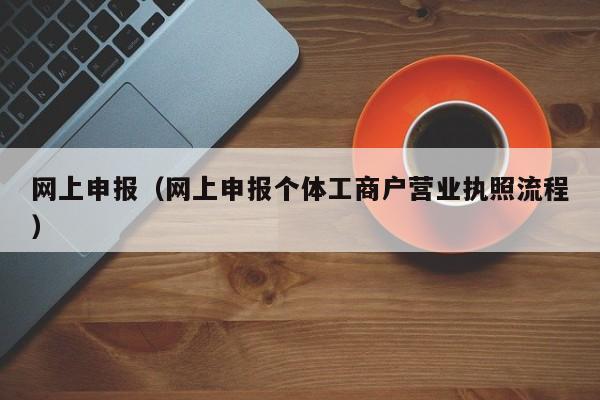 网上申报（网上申报个体工商户营业执照流程）