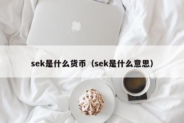 sek是什么货币（sek是什么意思）