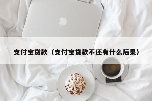 支付宝贷款（支付宝贷款不还有什么后果）