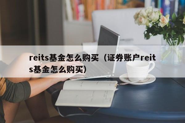 reits基金怎么购买（证券账户reits基金怎么购买）