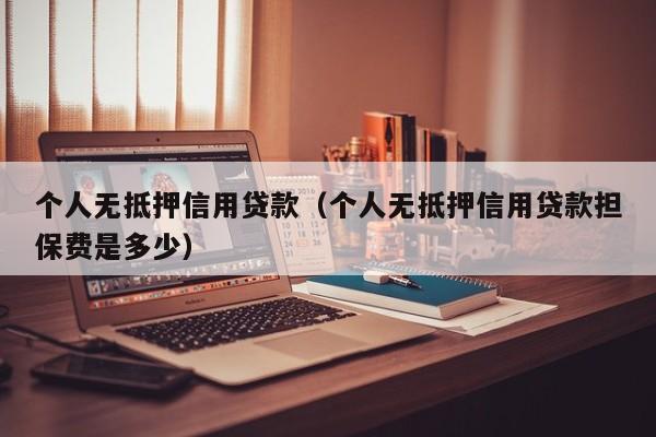 个人无抵押信用贷款（个人无抵押信用贷款担保费是多少）