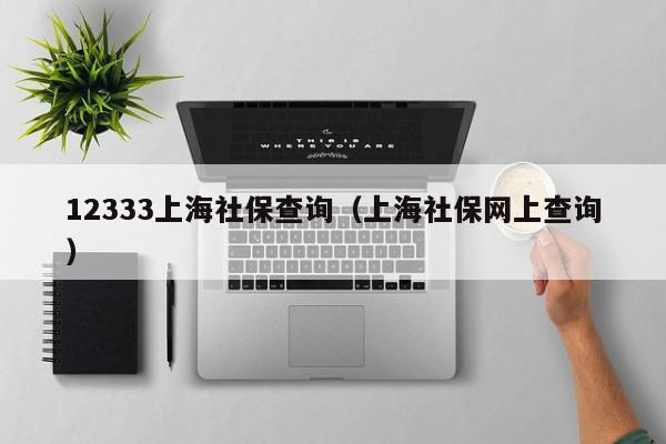 12333上海社保查询（上海社保网上查询）