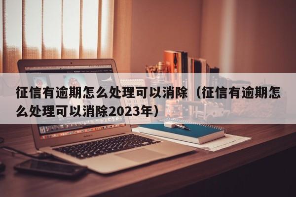 征信有逾期怎么处理可以消除（征信有逾期怎么处理可以消除2023年）