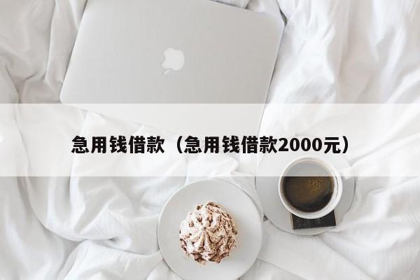 急用钱借款（急用钱借款2000元）